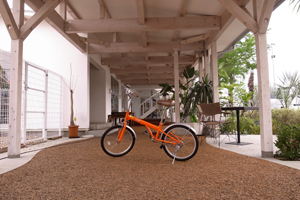 110701 bf4 RIMG0112.jpg